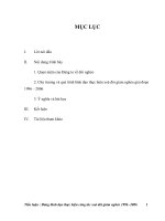 Tiểu luận - Đảng lãnh đạo thực hiện công tác xoá đói giảm nghèo 1996 -2006 pps