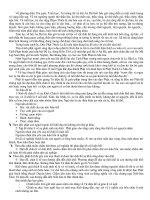 phat giao va su phat trien cua phat giao o an do