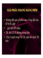 DẪN LƯU MÀNG PHỔI (PHẦN 2) potx