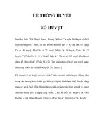 HỆ THỐNG HUYỆT SỐ HUYỆT docx