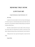 BỆNH HỌC THỰC HÀNH - LUPUT BAN ĐỎ potx