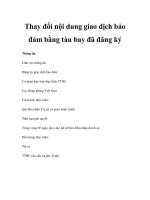 Thay đổi nội dung giao dịch bảo đảm bằng tàu bay đã đăng ký pps