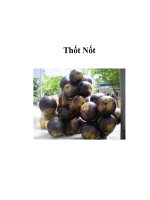 Thốt Nốt ppsx