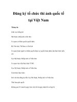 Đăng ký tổ chức thi ảnh quốc tế tại Việt Nam docx