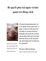 Bí quyết pha trà ngon và bảo quản trà đúng cách potx