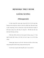 BỆNH HỌC THỰC HÀNH - LOÃNG XƯƠNG (Osteoporosis) ppsx