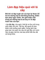 Làm đẹp hiệu quả với lá cây pdf