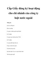 Cấp Giấy đăng ký hoạt động cho chi nhánh của công ty luật nước ngoài ppsx