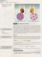 Chemistry part 7, Julia Burdge,2e (2009) ppt