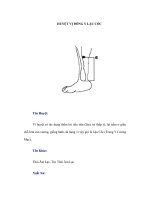 HUYỆT VỊ ĐÔNG Y LẬU CỐC pdf