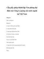 Cấp giấy phép thành lập Văn phòng đại diện của Công ty quảng cáo nước ngoài tại Việt Nam pps