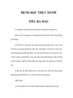 BỆNH HỌC THỰC HÀNH - TIỂU RA MÁU pps
