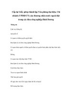 Cấp lại Giấy phép thành lập Văn phòng đại diện, Chi nhánh (VPĐD/CN) của thương nhân nước ngoài đặt trong các khu công nghiệp Bình Dương doc