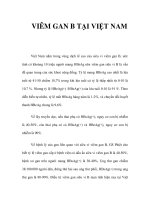 VIÊM GAN B TẠI VIỆT NAM ppt