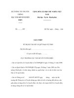 Mẫu giấy phép sử dụng tần số và quỹ đạo vệ tinh pdf