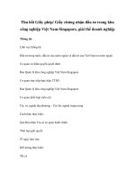 Thu hồi Giấy phép/ Giấy chứng nhận đầu tư trong khu công nghiệp Việt Nam-Singapore, giải thể doanh nghiệp doc