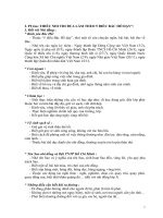 các phong trào cần thực hiện của liên chi đội trong trường học