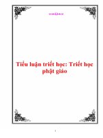 Tiểu luận triết học: Triết học phật giáo pptx