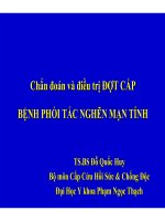Điều trị phổi tắc nghẽn mạn tính (Phần 1) ppt