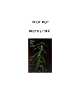 DƯỢC HỌC - DIỆP HẠ CHÂU pdf