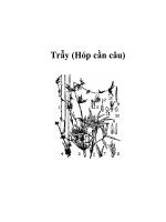 Trẫy (Hóp cần câu) pptx