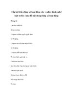 Cấp lại Giấy đăng ký hoạt động cho tổ chức hành nghề luật sư khi thay đổi nội dung đăng ký hoạt động potx