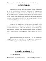 Sang kien kinh nghiem mon Toan