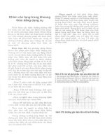 Những khái niệm về giải phẫu In vivo và nội soi (Phần 2) pot