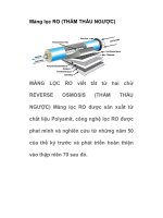 Màng lọc RO (THẨM THẤU NGƯỢC) pot