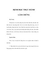 BỆNH HỌC THỰC HÀNH - LÂM CHỨNG pps