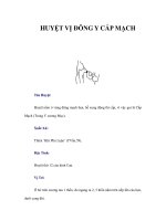 HUYỆT VỊ ĐÔNG Y CẤP MẠCH pdf