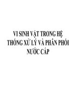 VI SINH VẬT TRONG HỆ THỐNG XỬ LÝ VÀ PHÂN PHỐI NƯỚC CẤP pps
