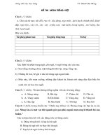 DE THI CHON HOC SINH GIOI MON TV LOP 5