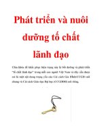 Phát triển và nuôi dưỡng tố chất lãnh đạo pptx