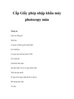 Cấp Giấy phép nhập khẩu máy photocopy màu pot