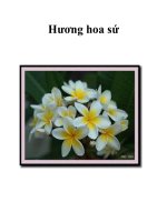 Hương hoa sứ doc