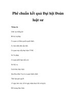 Phê chuẩn kết quả Đại hội Đoàn luật sư pptx