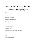 Đăng ký thế chấp tàu biển Việt Nam tại Cảng vụ hàng hải pps