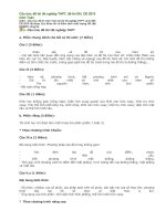 Cấu trúc đề thi tốt nghiệp THPT Toan