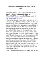 Tổng quan về mẫu malware Virus.Win32.Virut.ce- Phần 1 doc