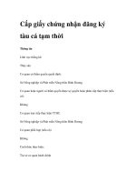 Cấp giấy chứng nhận đăng ký tàu cá tạm thời docx