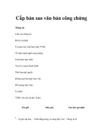 Cấp bản sao văn bản công chứng docx