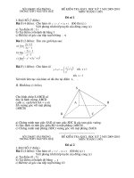 DE TOÁN 11(HK2 2009-2010)NH