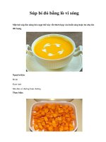 Súp bí đỏ bằng lò vi sóng pptx