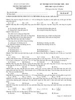 ĐỀ kiểm tra kỳ 22 LÝ 11 (09-10) cb+nc