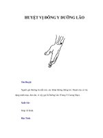 HUYỆT VỊ ĐÔNG Y DƯỠNG LÃO ppt