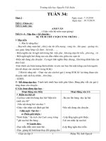 Giáo án lớp 3- Tuần 34- CKT