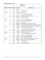 Giáo án lớp 3 tuần 19- 24