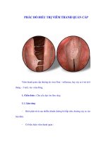 PHÁC ĐỒ ĐIỀU TRỊ VIÊM THANH QUẢN CẤP pps