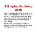 Túi laptop đa phong cách docx